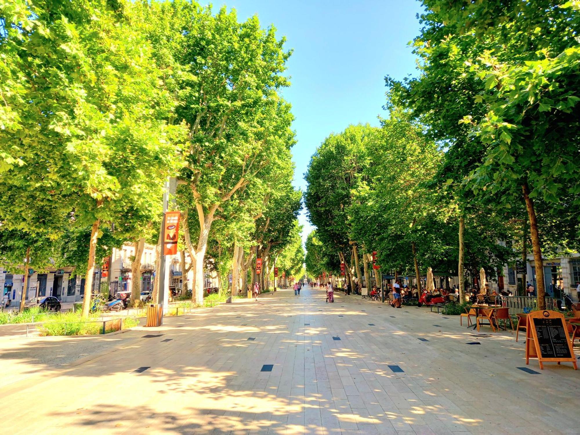 T3 Aqui Es Besiers - Centre-Historique - Cathedrale & Halles - Clim - Wifi - Free Parking Sur Demande Безье Экстерьер фото